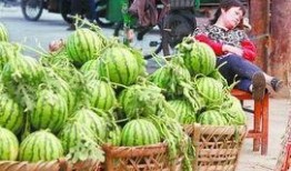 伊犁吃瓜最新事件爆料,揭秘背后惊人真相！